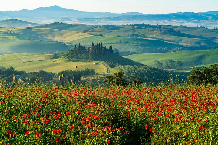 Rome: Tuscany & Montepulciano Tour with Lunch and Wine Tasting - Photo 1 of 22