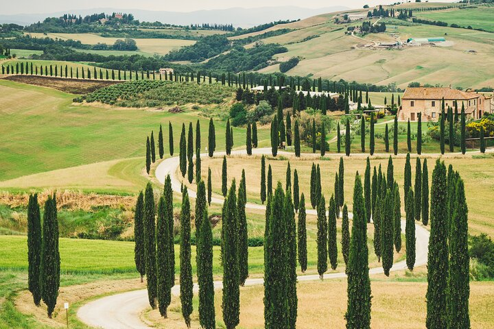 Photo by Silvan Schuppisser