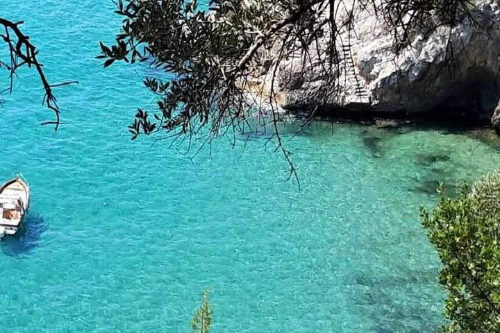 Ulysses Coast Boat Tours - Photo 1 of 18