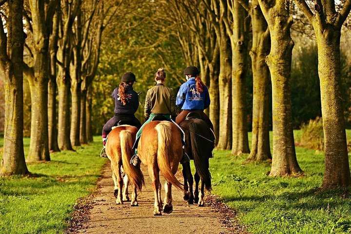 Umbria, Horseback riding in the Umbrian countryside with lunch - Photo 1 of 7