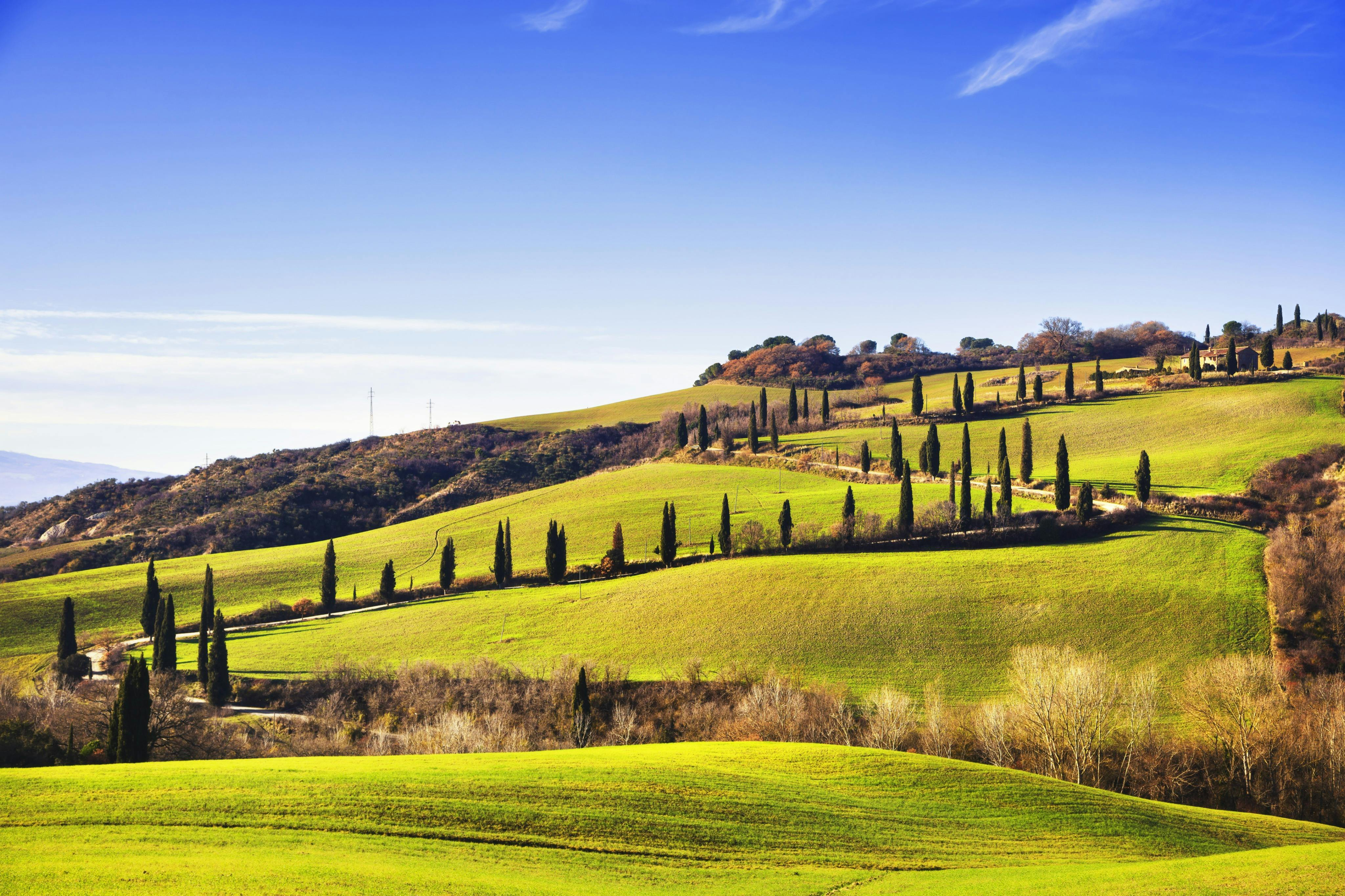 Val D'Orcia, Montepulciano & Pienza: Day Trip from Florence - Photo 1 of 8