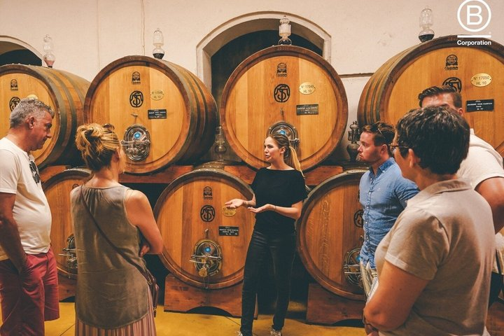 Amarone Wine Tasting Tour from Verona with Private Transportation - Photo 1 of 25