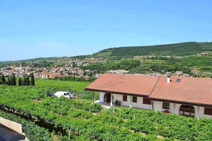 Valpolicella - The wine paradise - Photo 1 of 4