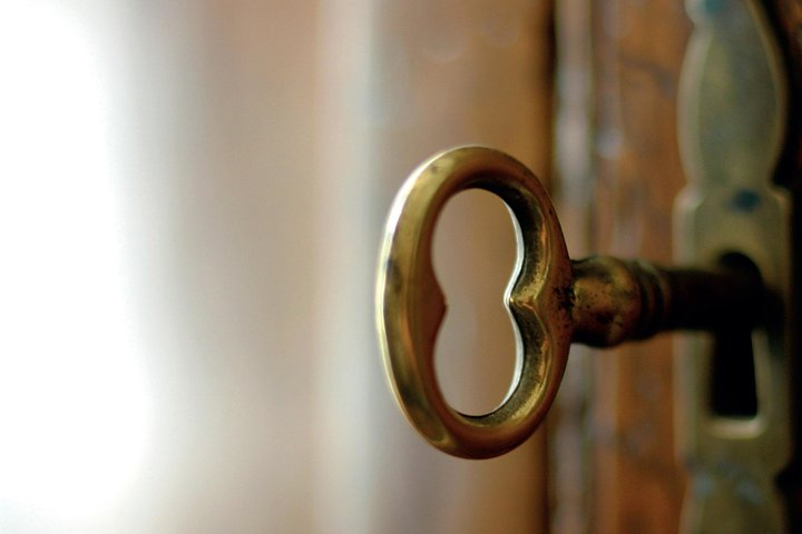 A view of the Vatican Gardens