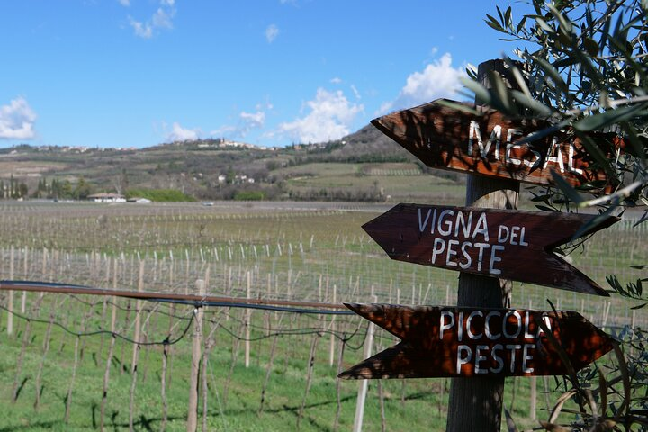 Verona - Cellar Tour and Tasting of NATURAL WINES - Photo 1 of 3