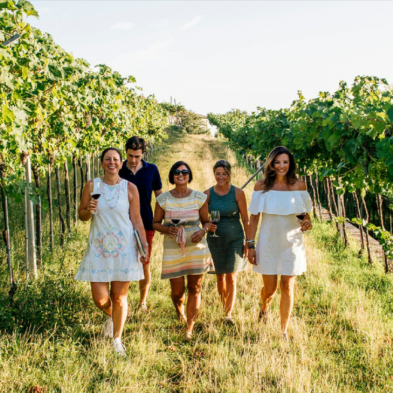 Verona: Valpolicella Winery Tour with a Winemaker - Photo 1 of 6