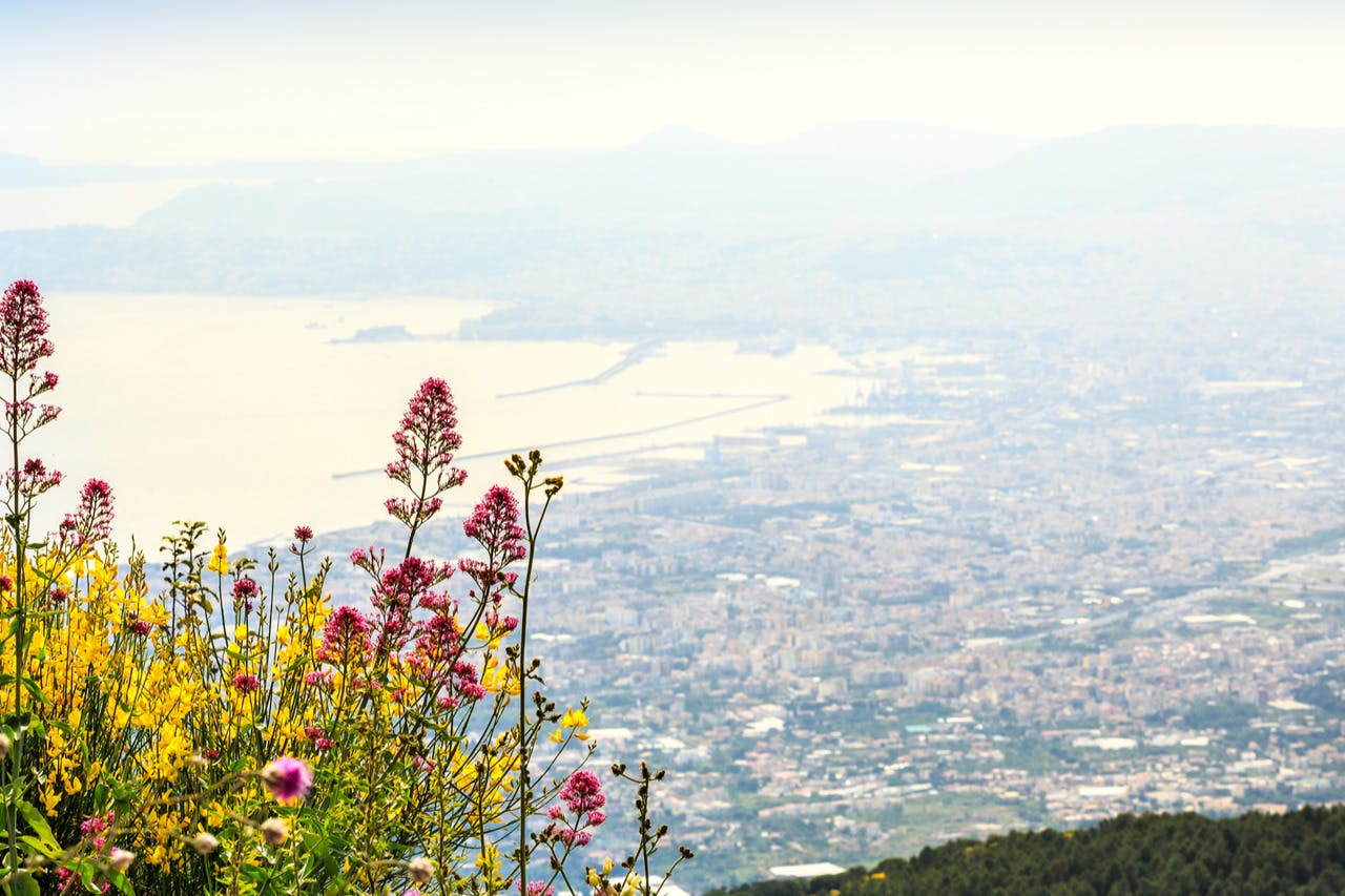 Mount Vesuvius: Skip The Line Ticket + Roundtrip from Naples - Photo 1 of 5