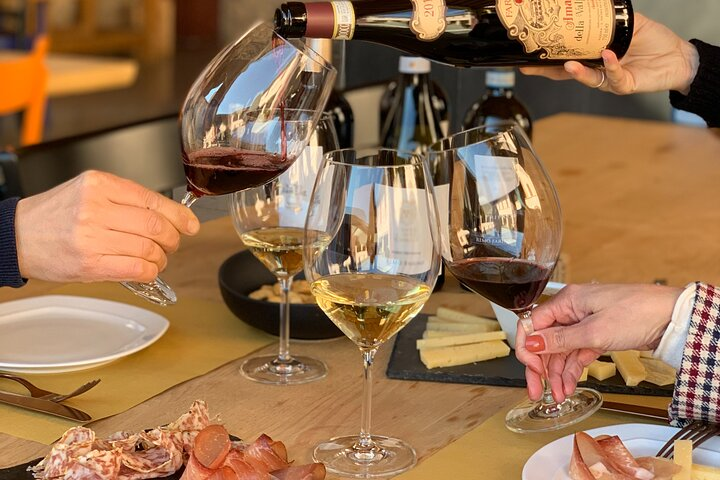 Vineyard Tour with Light Lunch in Valpolicella - Photo 1 of 7