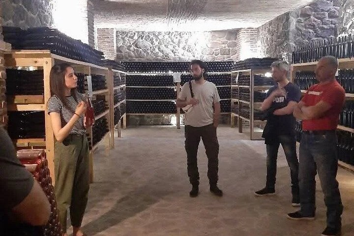 Parma Winery Tour, Wine Tasting & Local Delicacies with Transfer - Photo 1 of 22