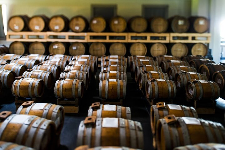 Visit at Modena Balsamic Vinegar producer - Photo 1 of 5