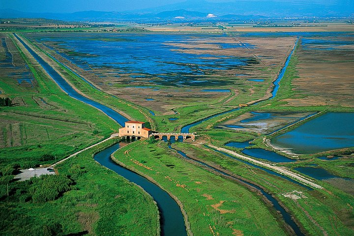 Regional Natural Reserve Diaccia Botrona