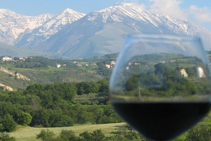 UrbExcursions Wild Abruzzo TruffleHunting WineTasting CookingClass Experience from Rome