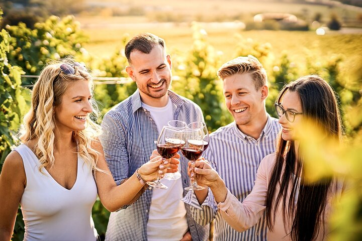 Sirmione-Desenzano Wine & Bike Journey Private tour - Photo 1 of 6