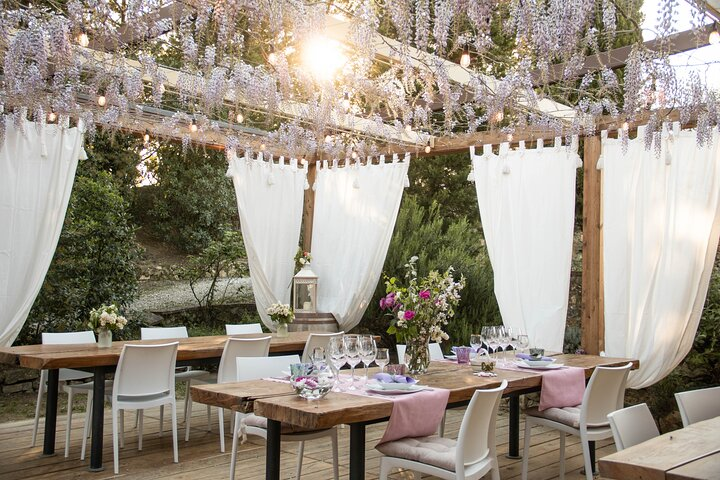 Wine and food tasting in an organic family winery - Photo 1 of 12