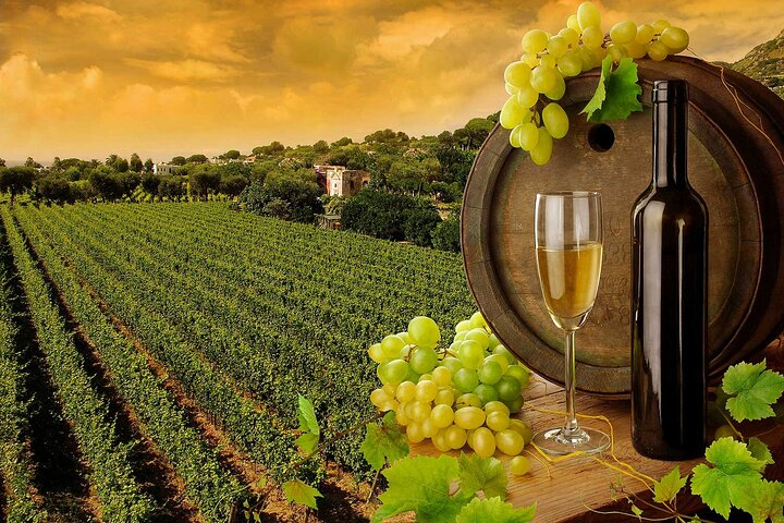 Top Excursions - Italy Wine Cheese and EVO Oil Tastings in Tuscany Full-Day from Rome
