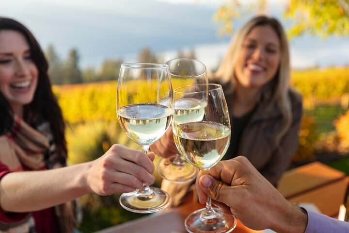 Wine Tour in Gallura – Tastings + Hotel Transfer DA - Photo 1 of 9