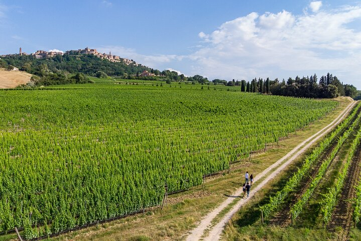 Wine lovers experience in Montepulciano: half day - Photo 1 of 4