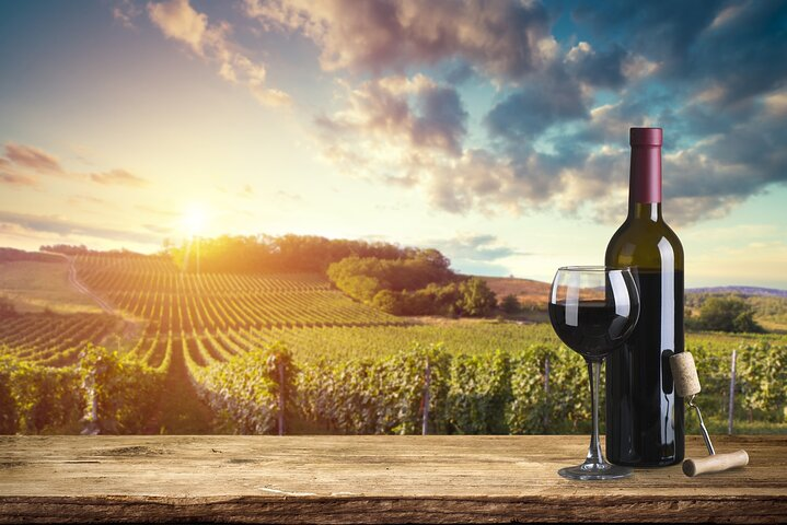 Wine Tasting and Dinner in Chianti - Photo 1 of 6