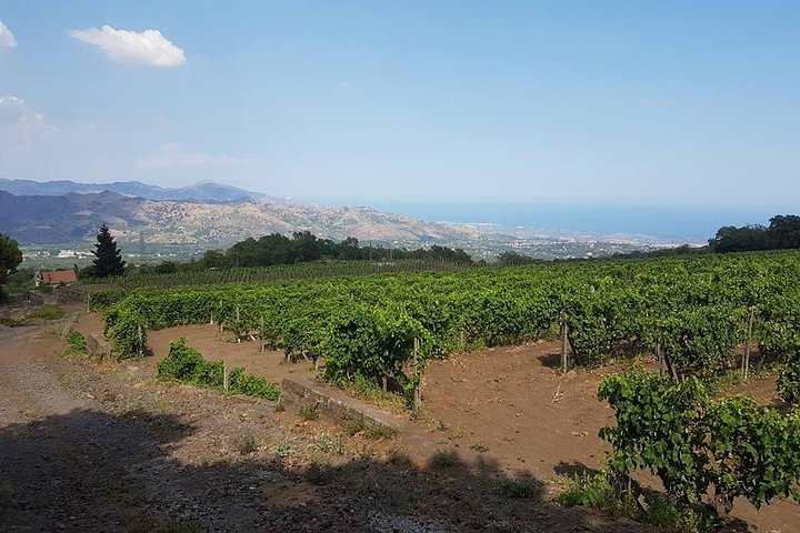 Wine Experience & Taormina Tour From Messina with Luxury Van  - Photo 1 of 9