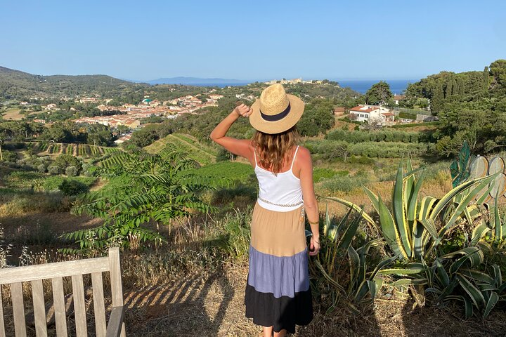 Authentic Elba Wine Tasting with Vineyard Walk & Sea Views - Photo 1 of 19