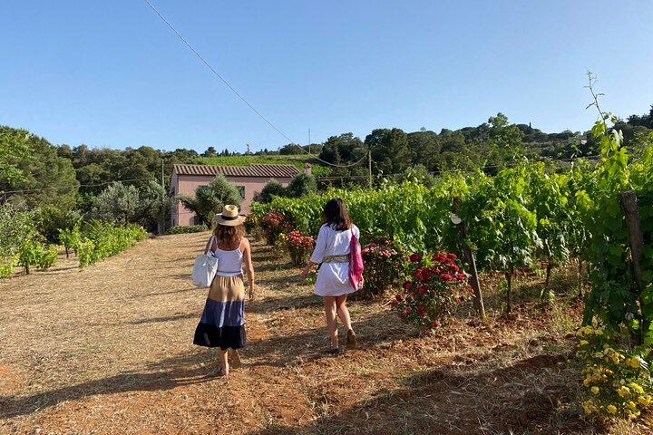 Discover Authentic Flavors of Elba Island: Winery Tour & Tasting - Photo 1 of 11
