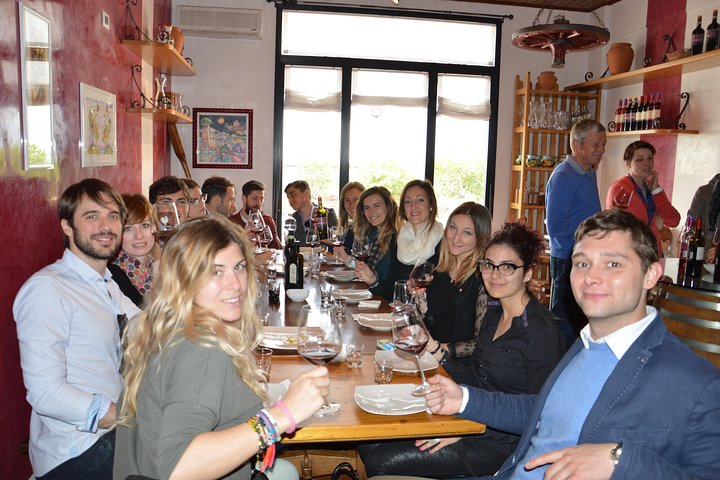 Wines, Cheeses & Bruschettas Tasting in Chianti (Tour at the Winery included) - Photo 1 of 12