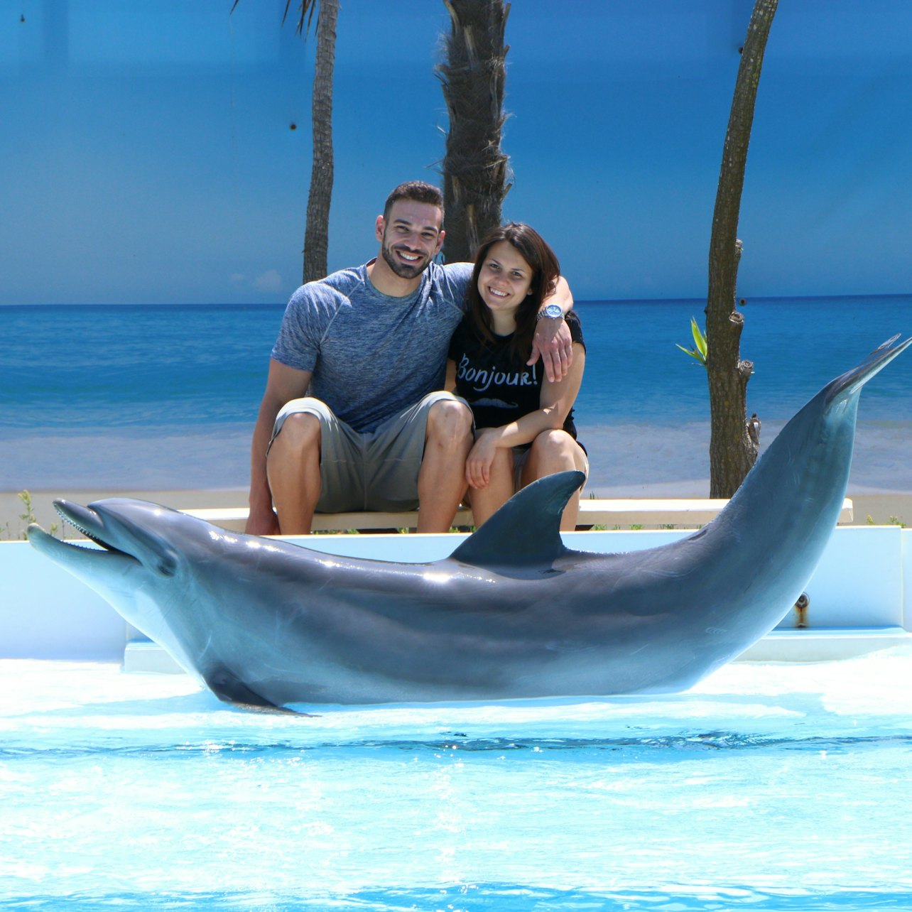 Zoomarine Roma: Reserved Entrance with Dolphins Experience - Photo 1 of 3