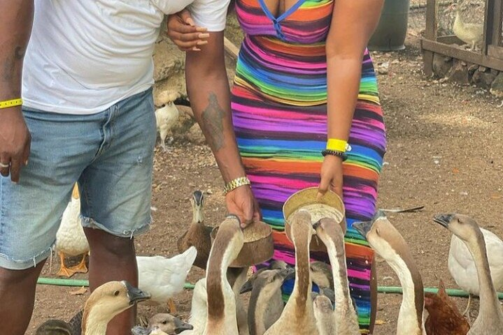 Animal Farm (Mini Zoo) , Bamboo Rafting and Limestone Massage Private Tour - Photo 1 of 24