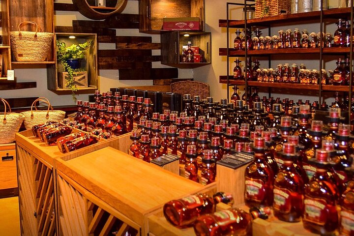 Appleton Rum Estate- Black River From Ocho Rios - Photo 1 of 4