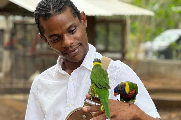 Bird Sanctuary and Montego Bay City Tour  - Photo 1 of 20
