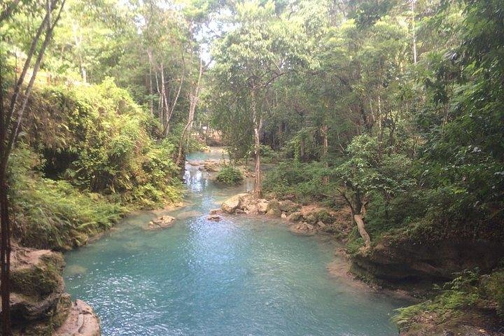 Blue Hole - Turtle Park From Ocho Rios  - Photo 1 of 4