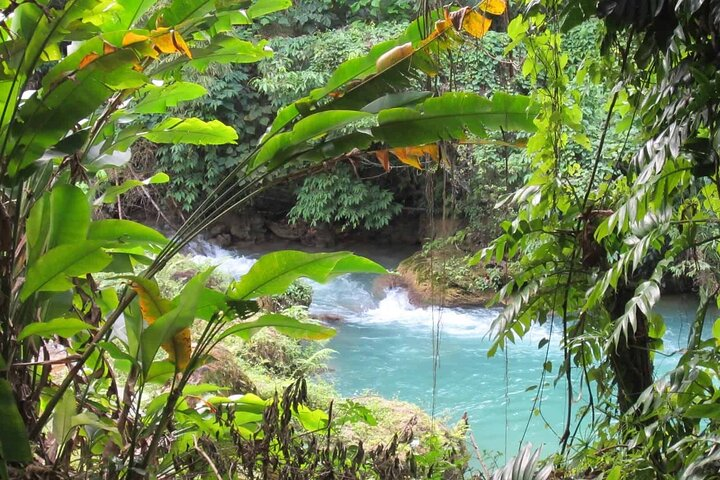 Cranbrook Flower Forest tour - Photo 1 of 4
