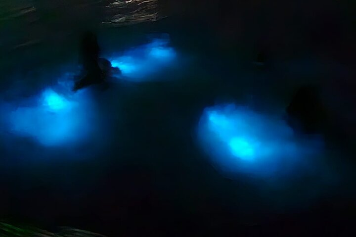 Luminous Lagoon Night Tour and Swim/Fire Dance from Montego Bay  - Photo 1 of 23