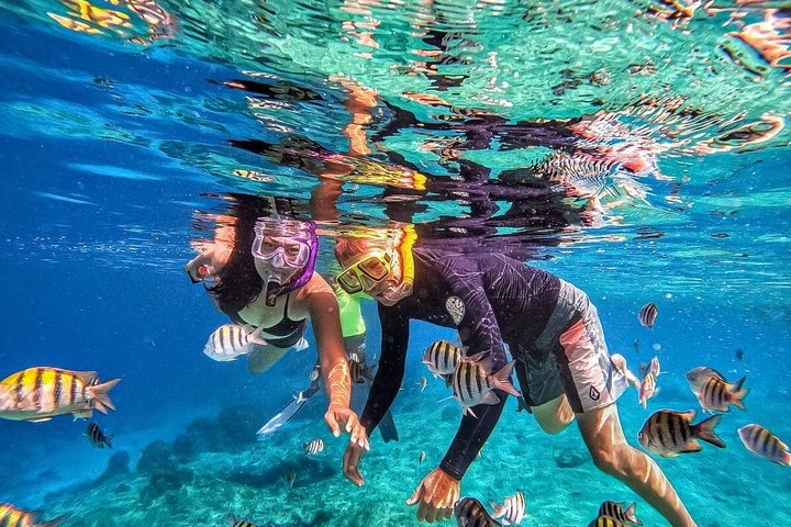 Family Fun-Snorkeling with Lunch Stop from Montego Bay - Photo 1 of 25