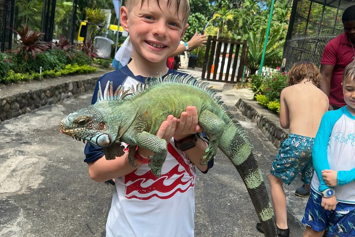 Fun tour for kids with River tubing and Konoko Falls - Photo 1 of 10