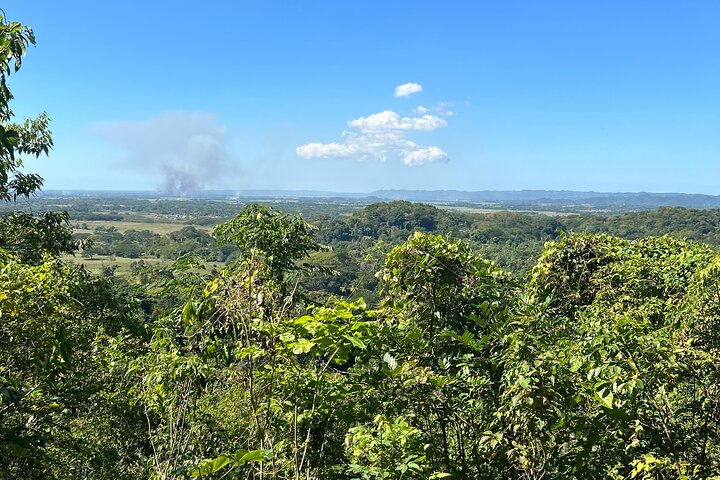 Hike, Swim & Eat in Rural Jamaica with a Rastafarian - Photo 1 of 21