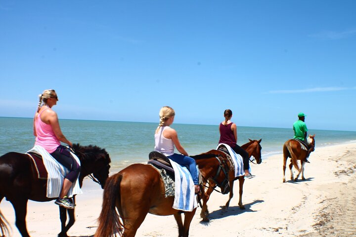 Horse Back riding Excursion - Photo 1 of 10