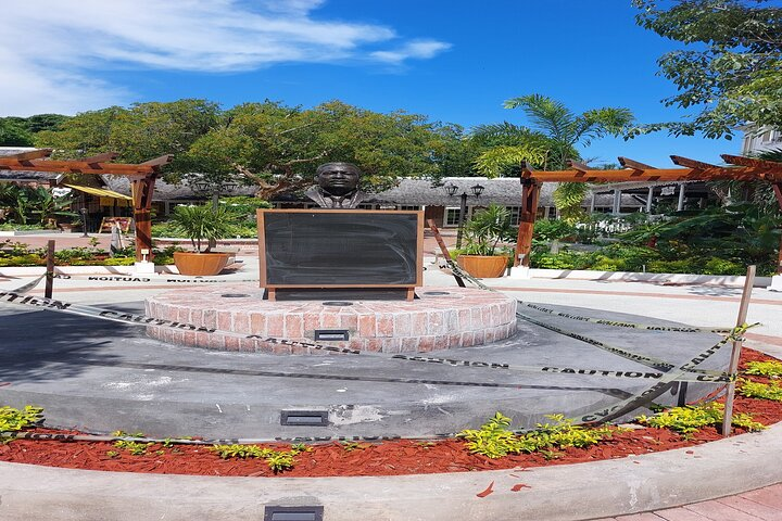 Kingston Jamaica Experience with lunch  - Photo 1 of 12