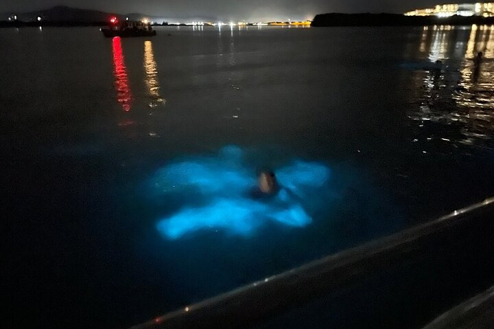 Private Montego Bay Tour to Negril & Ricks Café  - Photo 1 of 6