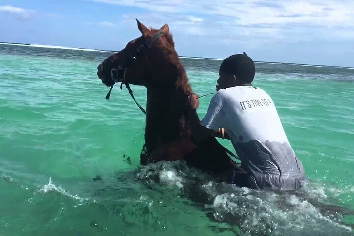 Martha Brae Rafting, Horseback Riding and Luminous Lagoon - Triple Treat  - Photo 1 of 12