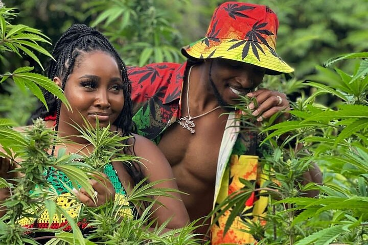 Montego Bay Exotic Herbs, Birds and Animals Interaction Tour - Photo 1 of 10