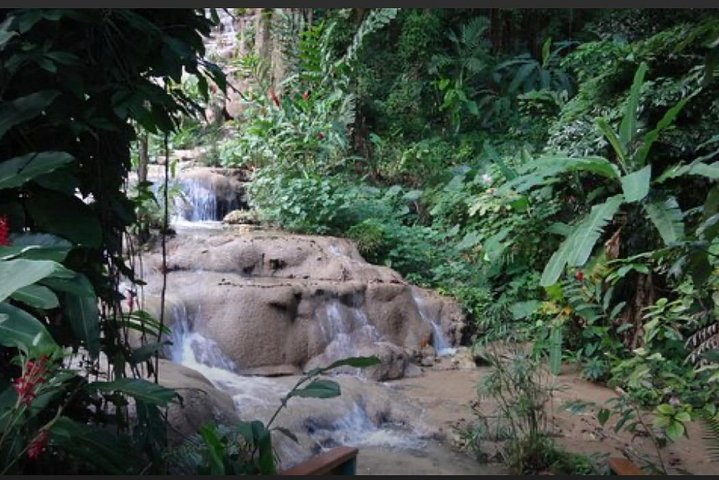 Natural Mystic  - Photo 1 of 7