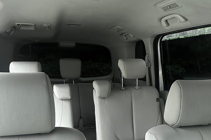 Private Airport Transfer to Trelwany Hotels in Jamaica  - Photo 1 of 9