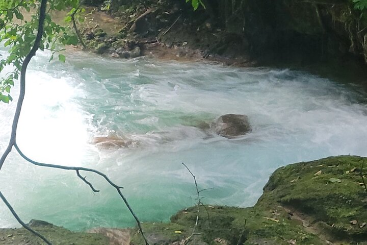 Private Falmouth Luminous Lagoon Swimming Experience - Photo 1 of 2