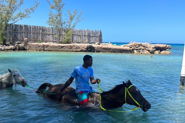 ATV & Horseback Ride Guided Tour in Jamaica - Photo 1 of 15