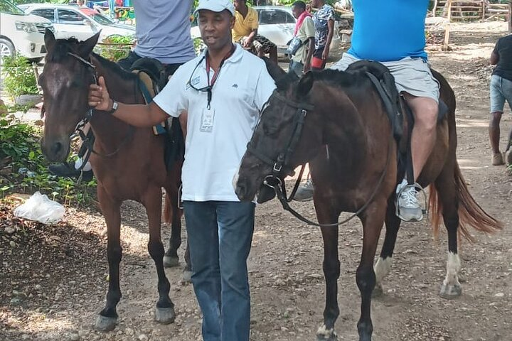 Private Horseback Riding From Falmouth - Photo 1 of 18