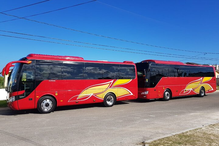 Reggae Sumfest transportation services provide hassle-free journeys to and from the event, allowing you to focus on immersing yourself in the vibrant reggae music .