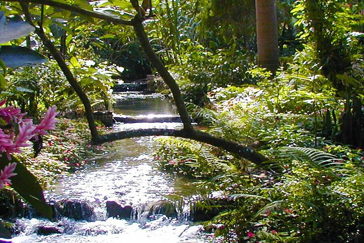 Konoko Falls