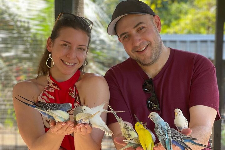 Rastafari Cultural Experience with Herb Garden & Animal Farm Tour - Photo 1 of 8