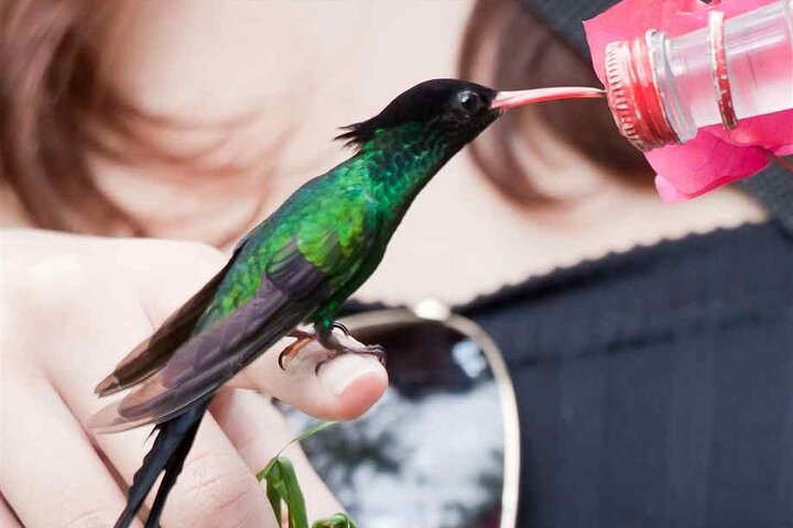 Rockland Bird Sanctuary Private Tour  - Photo 1 of 6